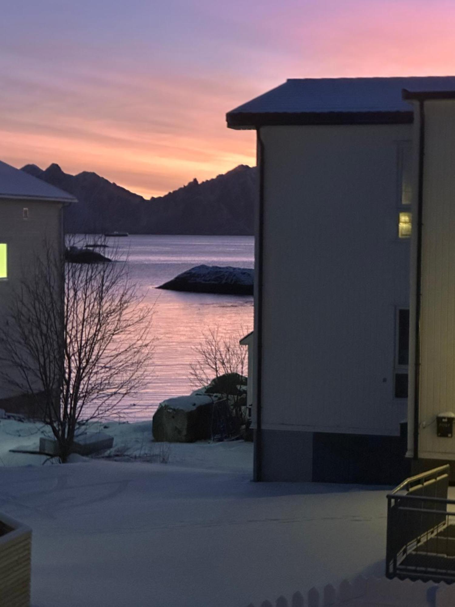 Koselig Hus Naert Havet I Lofoten, Kabelvåg Exterior foto