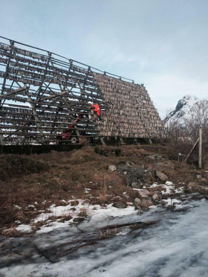 Koselig Hus Naert Havet I Lofoten, Kabelvåg Exterior foto
